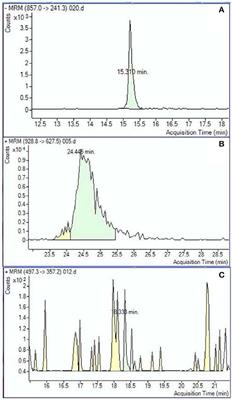 Metabolomic Markers of Phthalate Exposure in Plasma and Urine of Pregnant Women